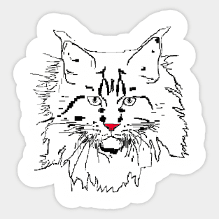 cat Maine Coon Sticker